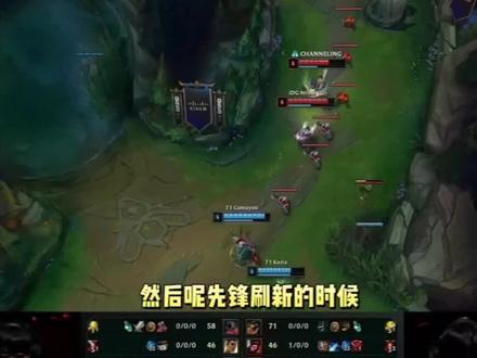 排和全队的 排和全队的